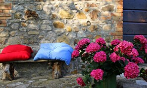 A stone wall with a bench and cushions, and a potted plant with pink flowers.