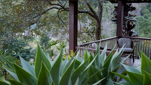 A wooden deck with a chair, surrounded by lush green foliage and trees. - Pousada Les Roches (Petrópolis)
