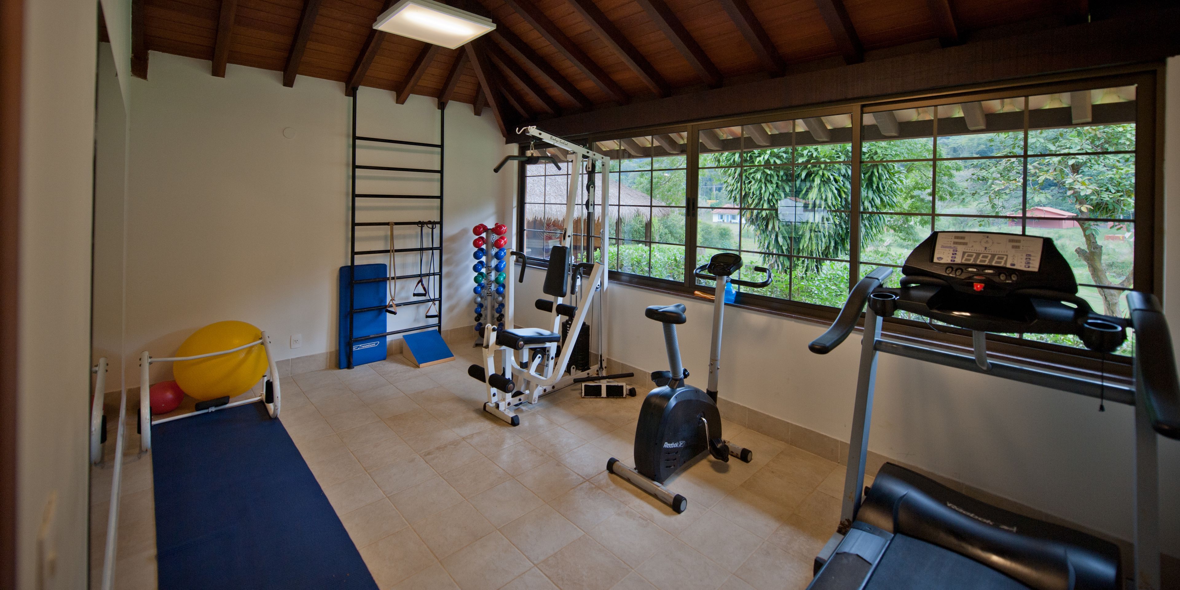 Academia com equipamentos de ginástica, um tapete azul e uma janela com vista para o verde.