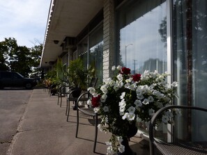 Standardzimmer, 2 Doppelbetten | Terrasse/Patio