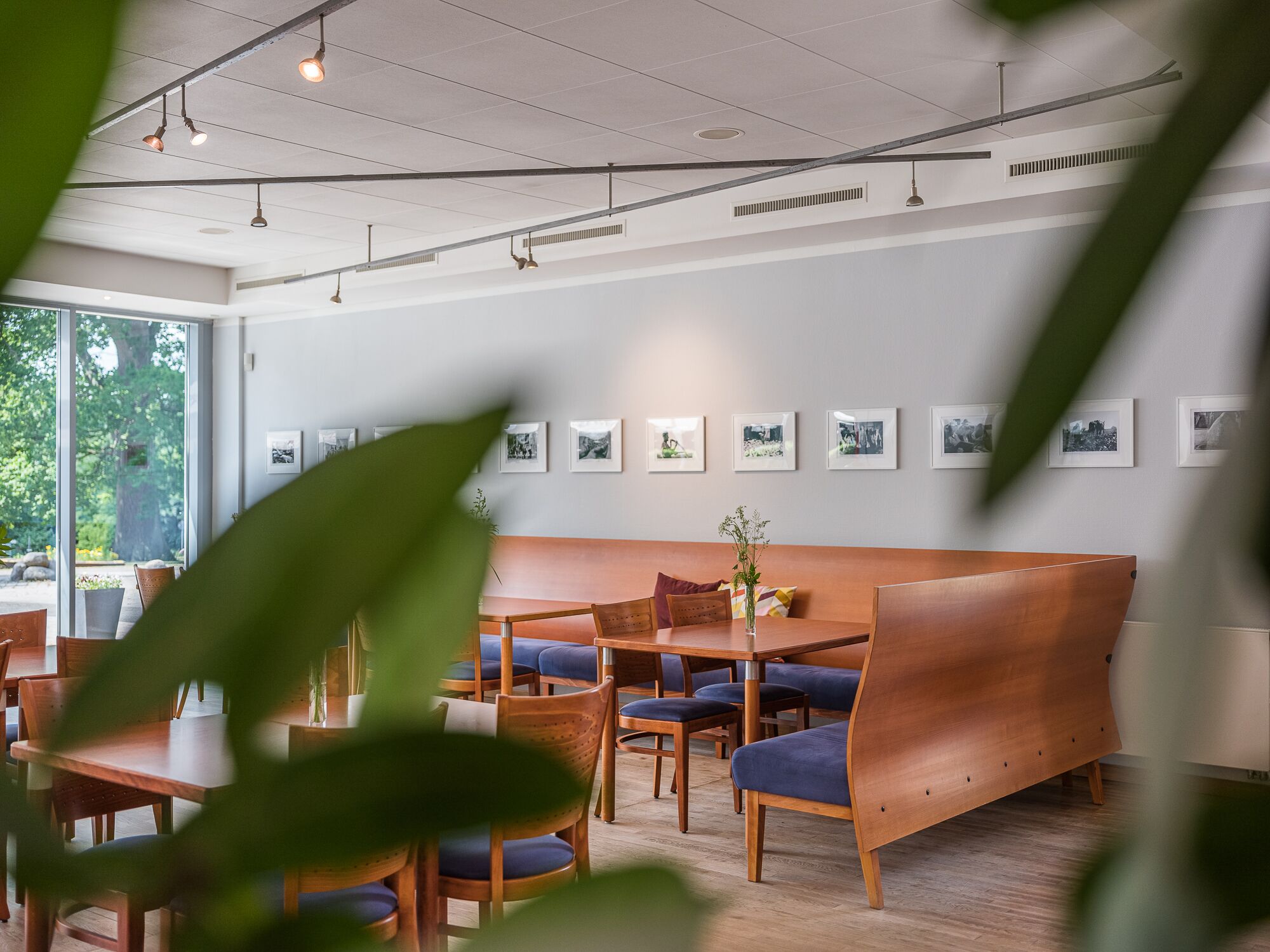 Ein modernes Interieur mit Holzmöbeln, einer Bank und gerahmten Bildern an der Wand.