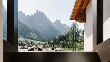 Superior Apartment | View from room