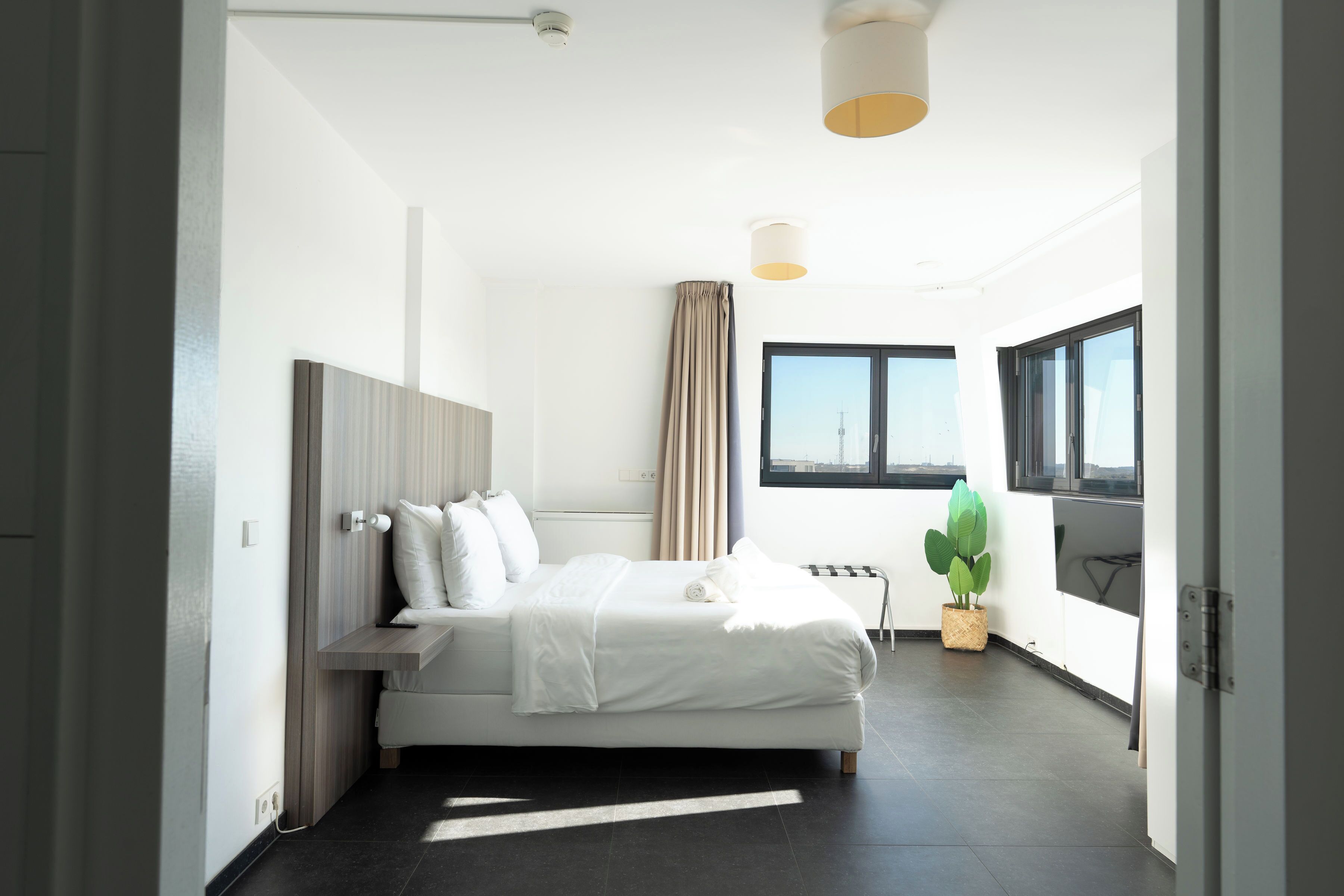 A modern hotel room with a bed, a potted plant, a large window, and a view of the city skyline.