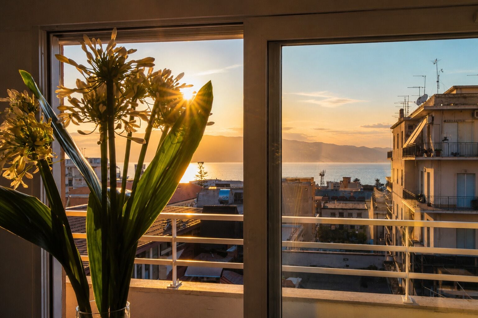 Foto - B&B Pellicano Guest House