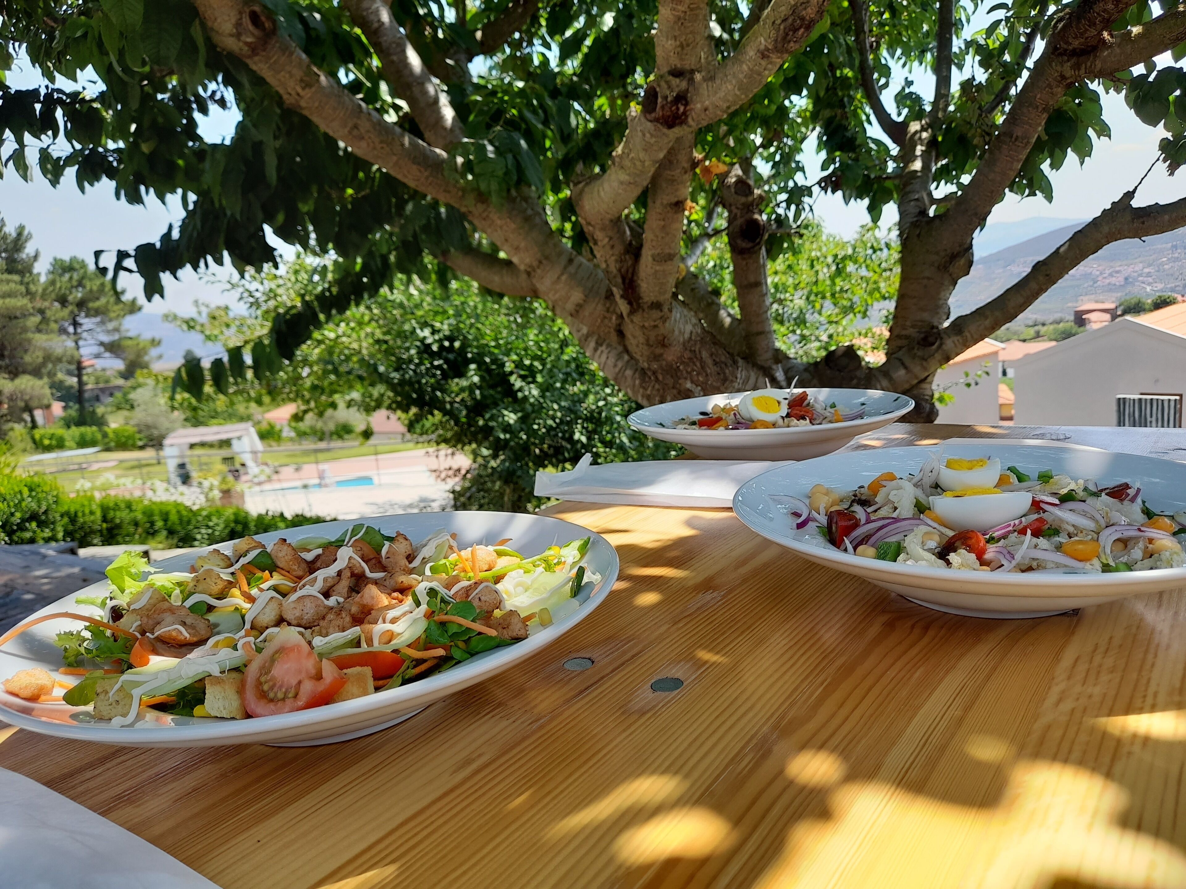 A table with three plates of salad under a tree, overlooking a pool and greenery.