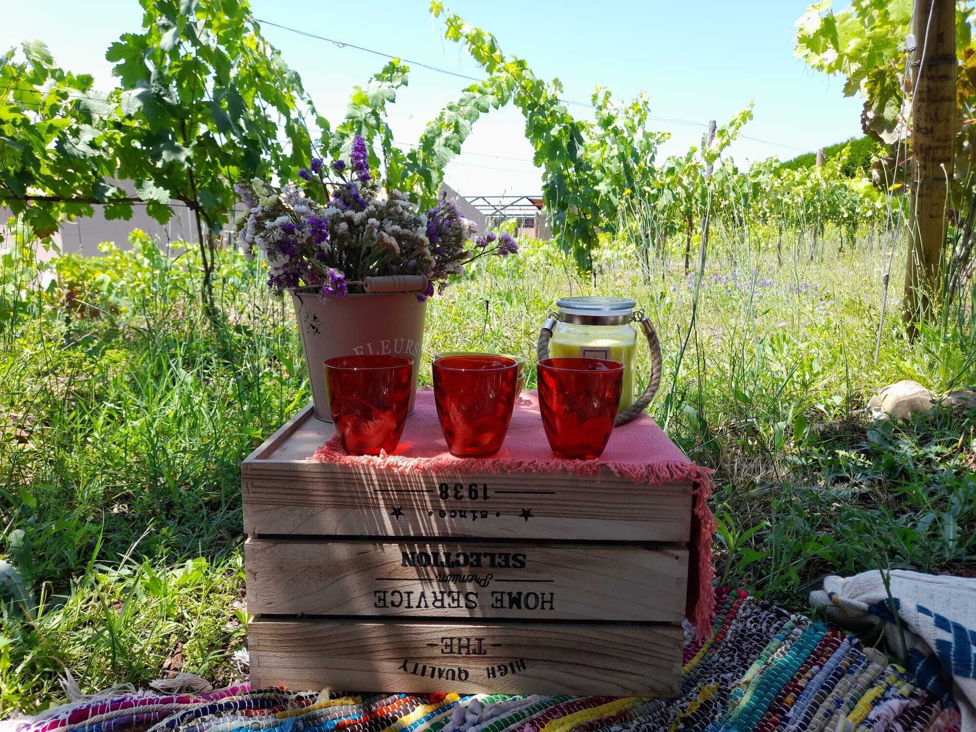 Una caja de madera con vasos rojos y una planta en maceta encima, colocada al aire libre con follaje de fondo.