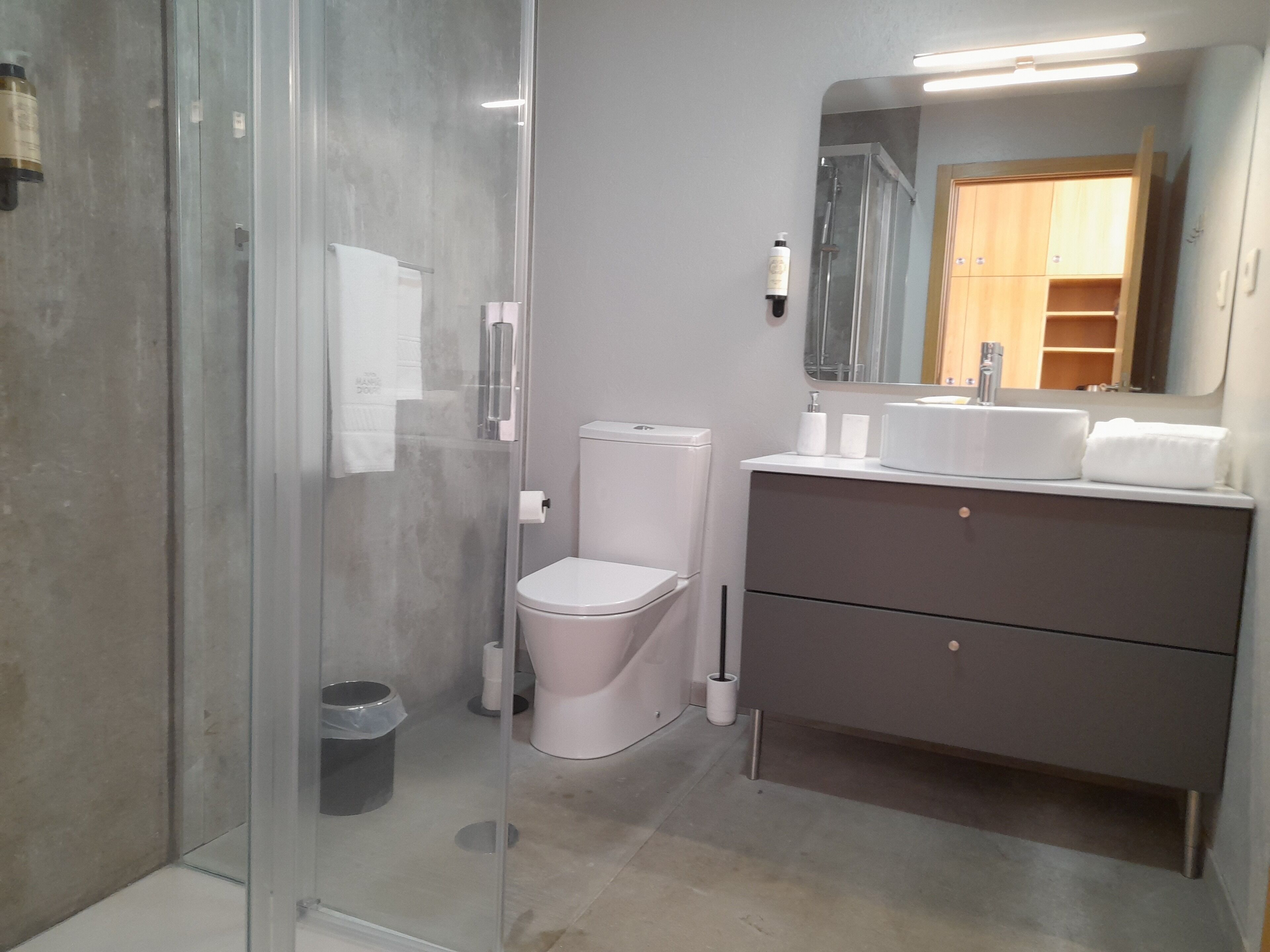 A modern bathroom with a glass-enclosed shower, a white toilet, and a vanity with a mirror.