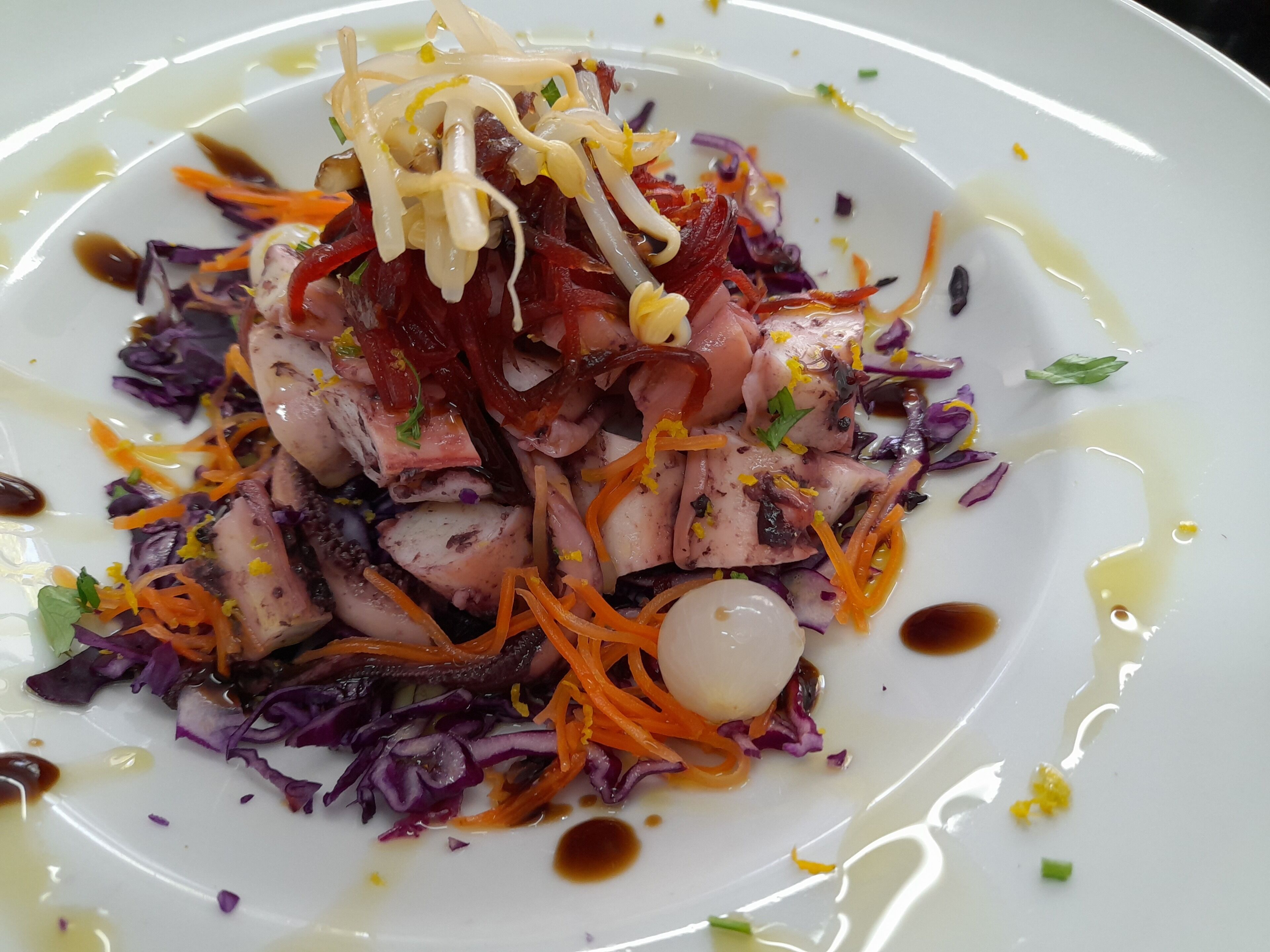 Un plato de comida con carne en rodajas, zanahorias y col morada, decorado con hierbas y salsa.