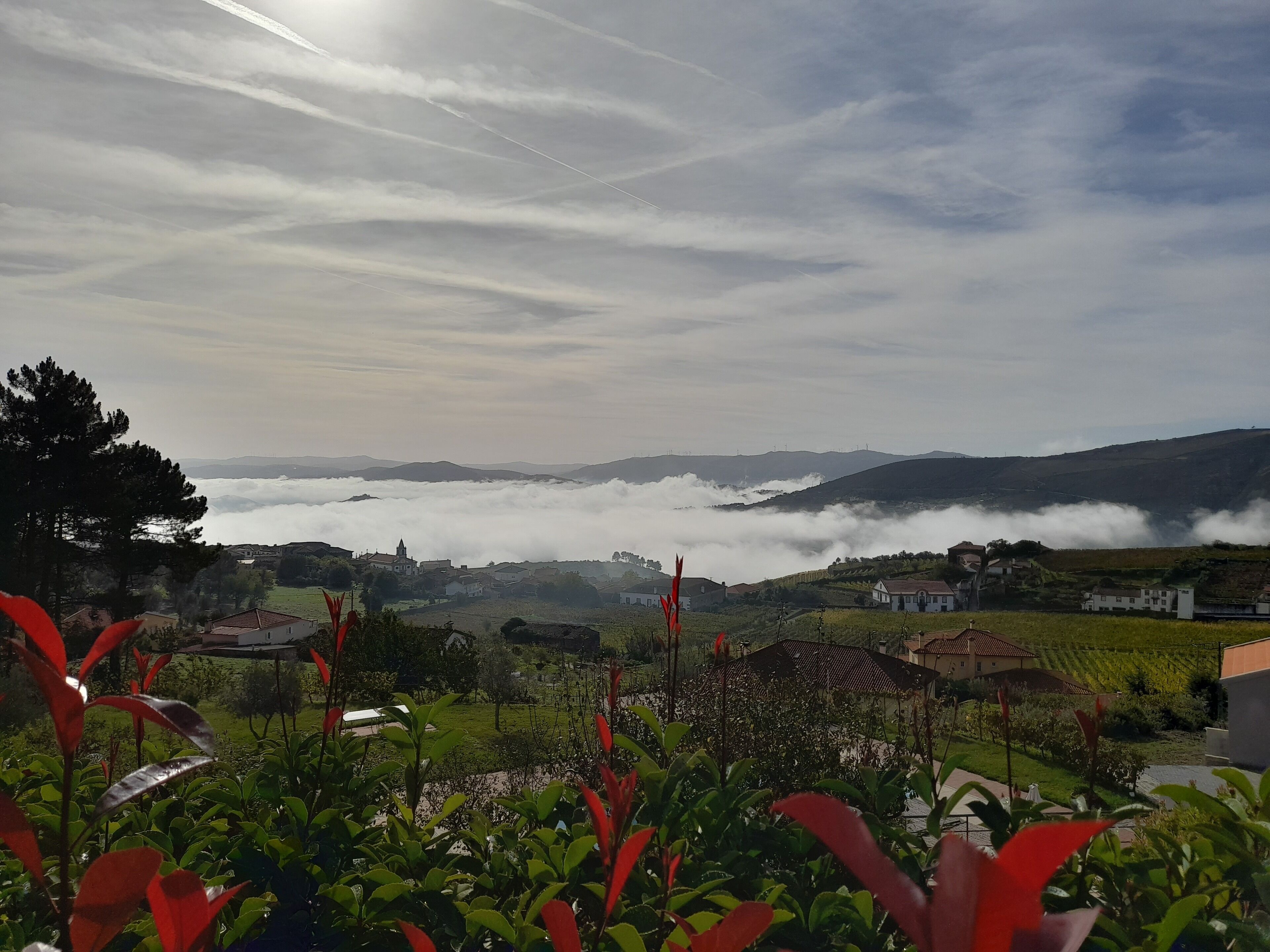 A rural landscape with a village, houses, and a vineyard.