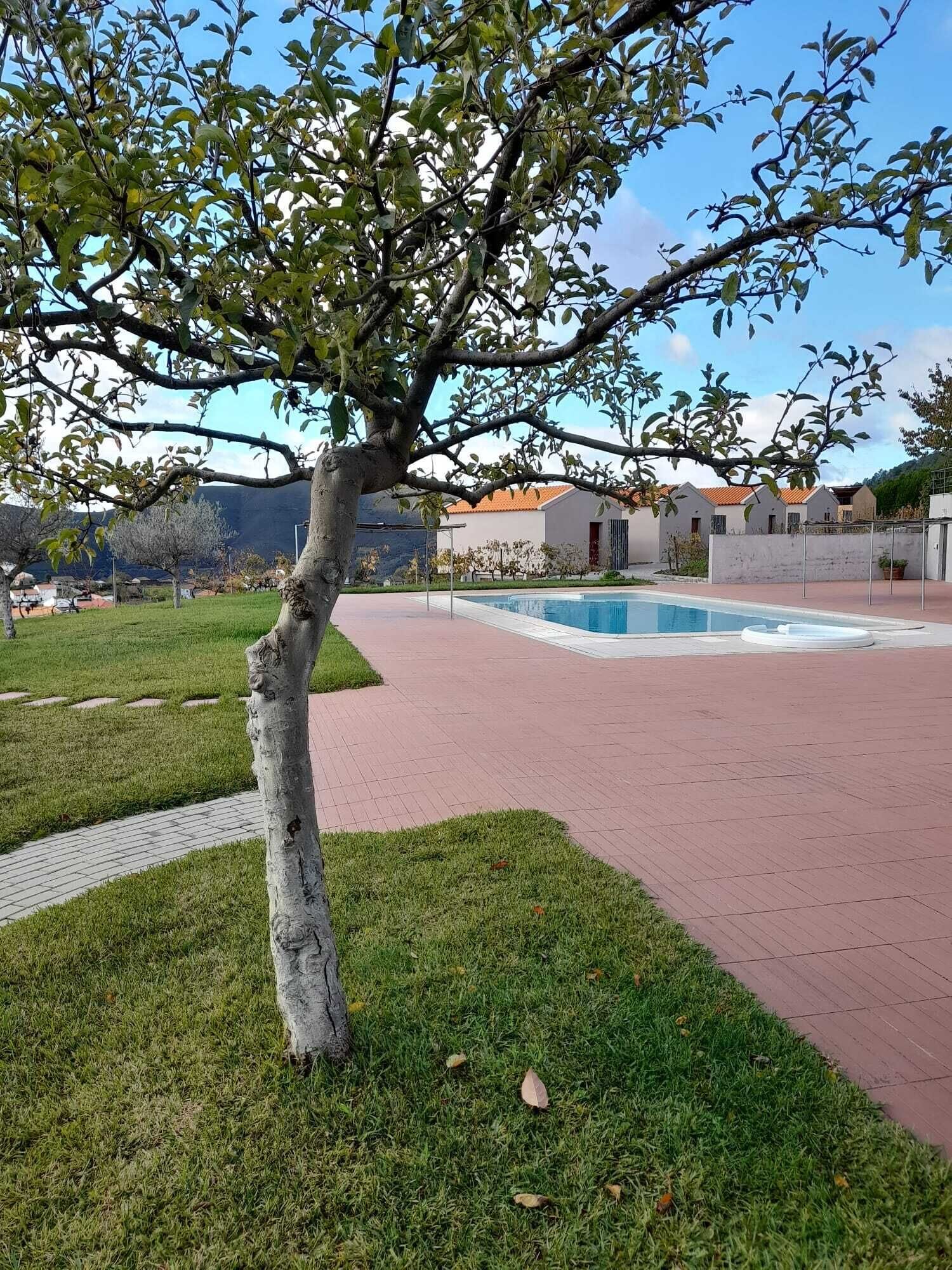 Un espace piscine avec un chemin pavé, un arbre et un bâtiment avec un toit rouge en arrière-plan.