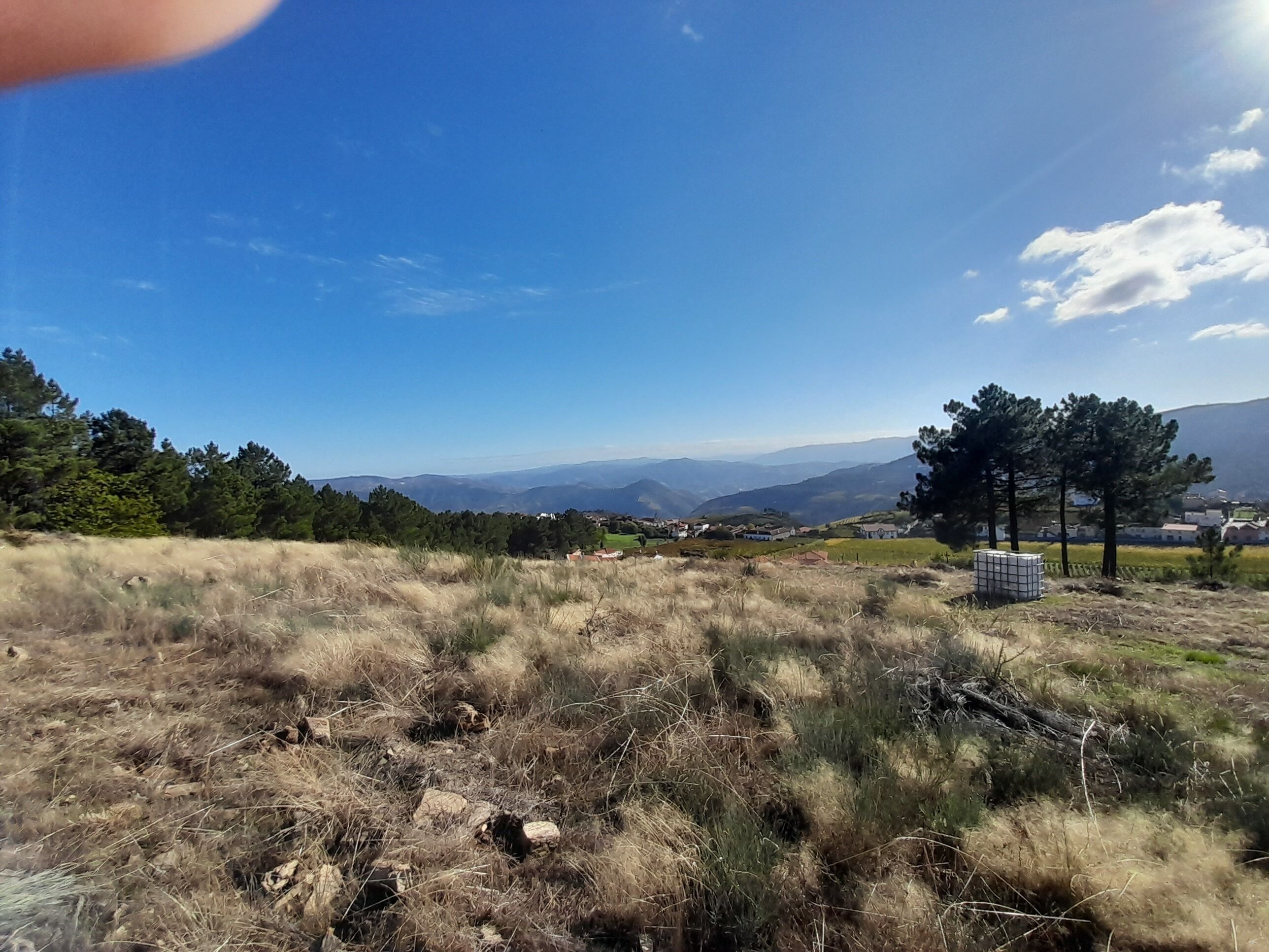 Un campo verde con vistas despejadas a montañas distantes y algunas casas dispersas.