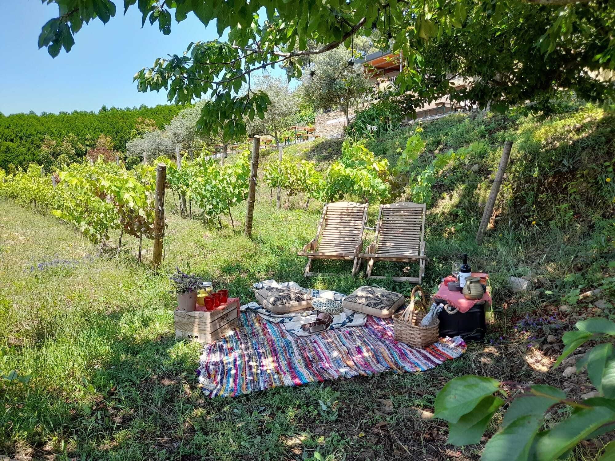 Un montaje para picnic con una manta, sillas y una cesta de objetos en una ladera cubierta de hierba, con viñedos al fondo.