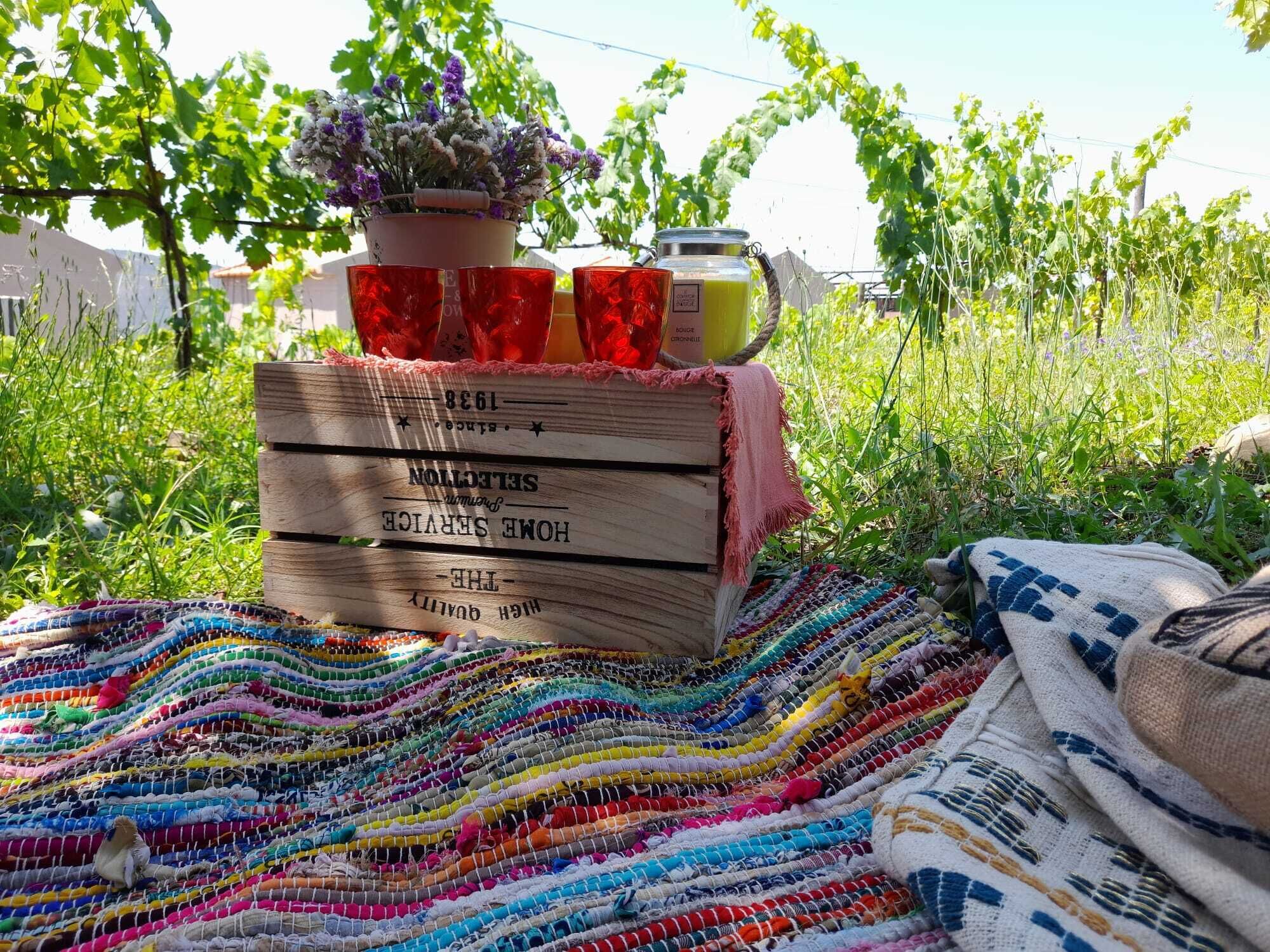 A wooden crate with a label, a colorful woven blanket, and a potted plant on a grassy field.