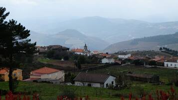 A rural village with houses, a church, and vineyards.