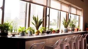 A bar area with multiple stools and a variety of potted plants on the windowsill. - Refinement Motel (Taichung)