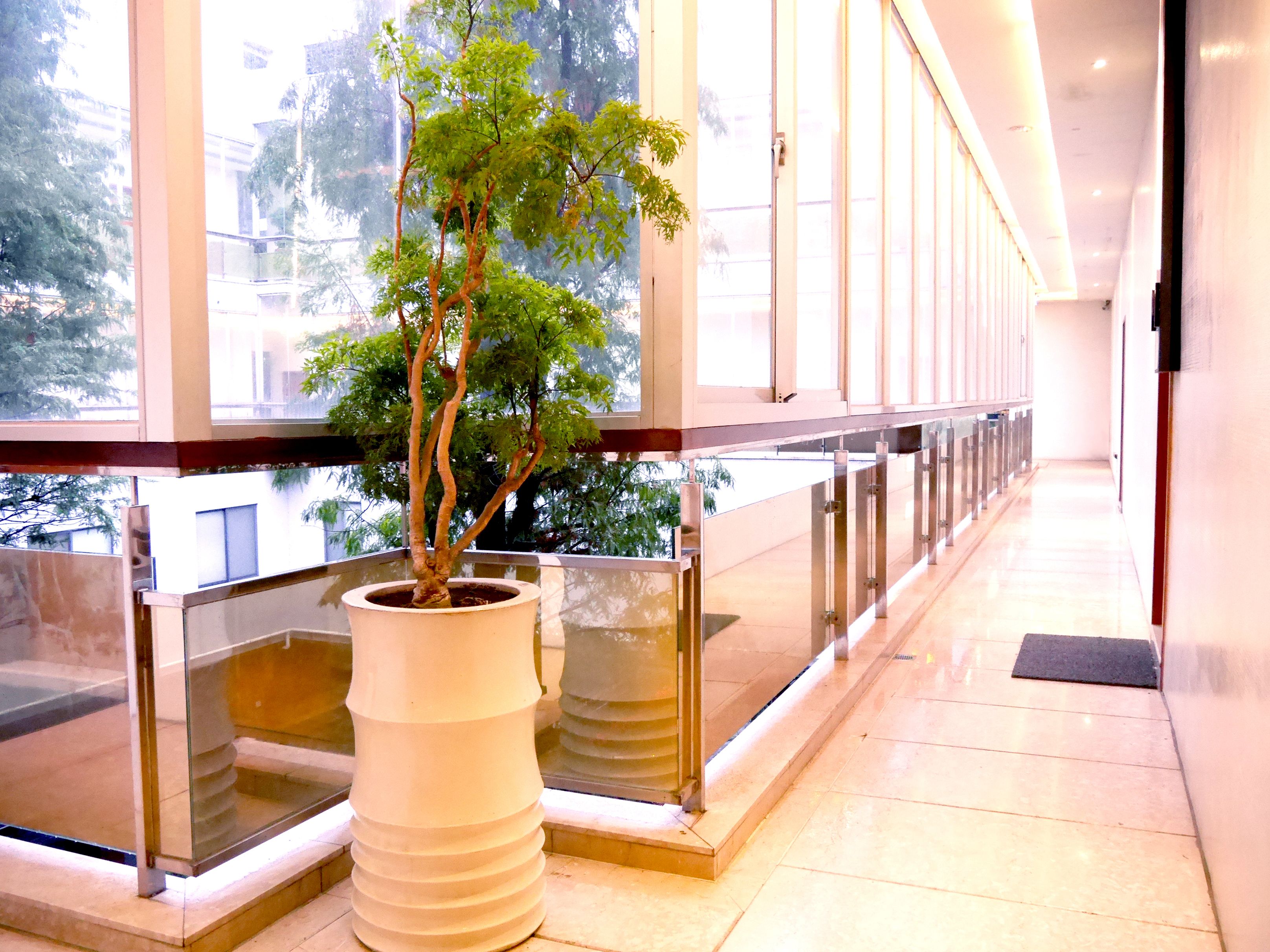 A corridor with a potted tree, glass railings, and a tiled floor.