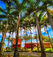 Ropa de cama de alta calidad y caja de seguridad en la habitación 