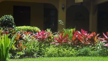 Jardín