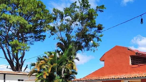 A swimming pool with a red-roofed building, a tree, and a clear blue sky. - Hotel Mediterráneo Plaza (San Salvador)