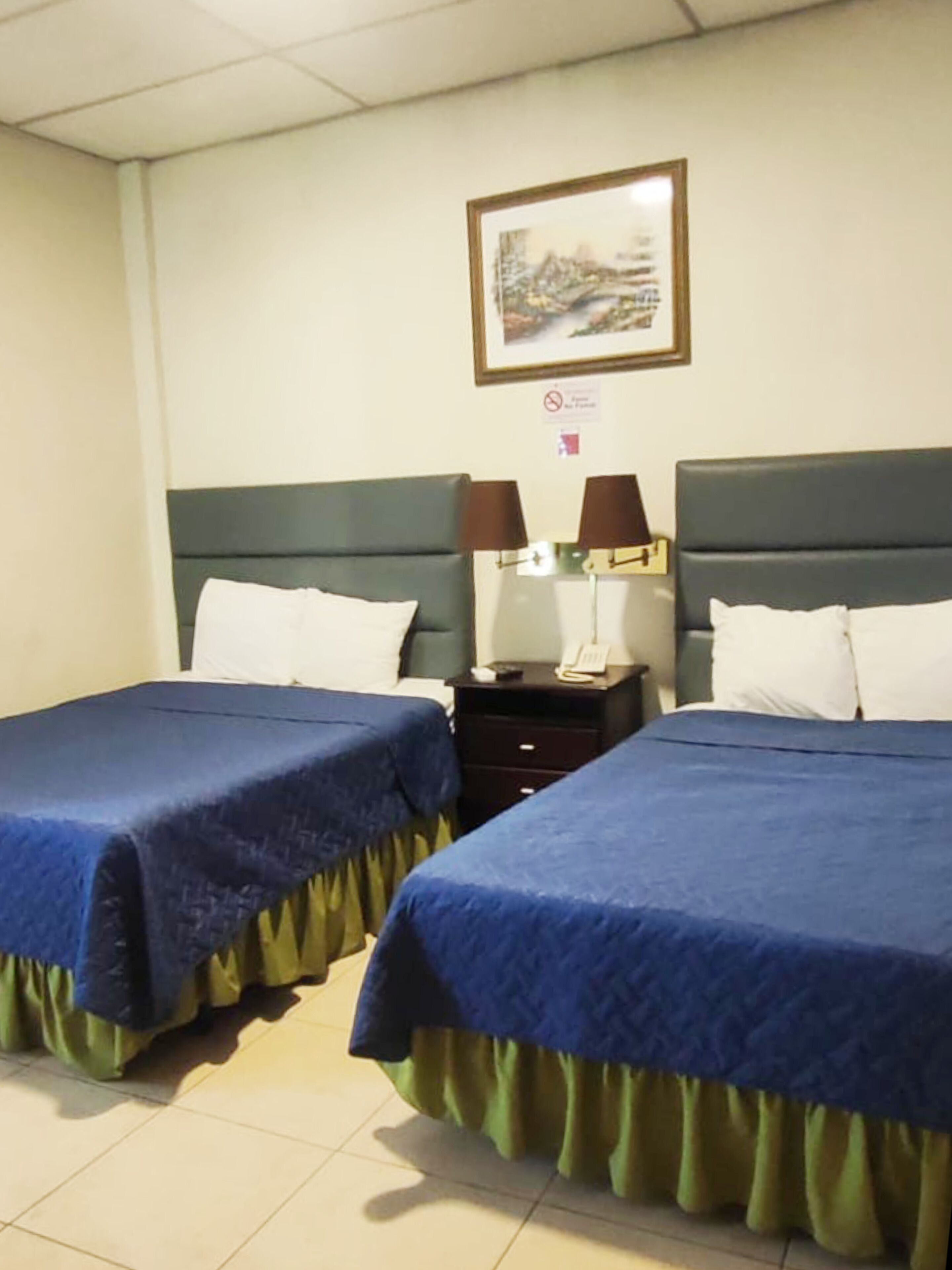 Foto - Hotel Mediterráneo Plaza
