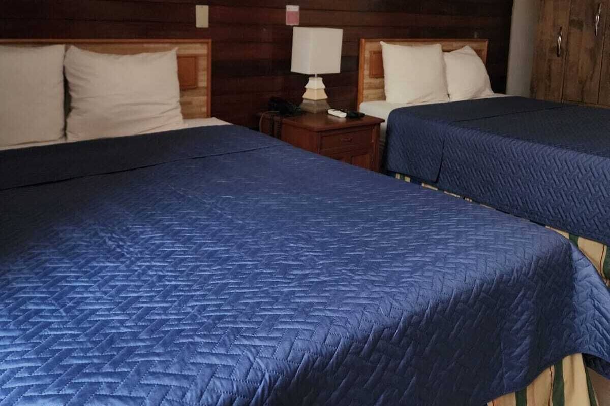 Einzelzimmer, 1 Doppelbett | Zimmersafe, kostenloses WLAN