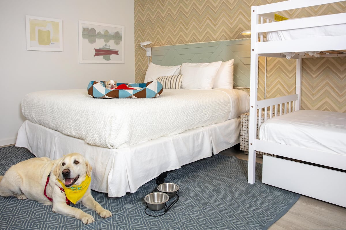A hotel room with a bunk bed, a dog bed, and two pet bowls on the floor.