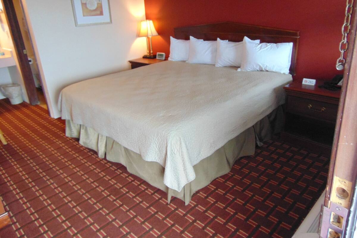 Una habitación de hotel con una cama grande, una mesita de noche con lámpara y piso cubierto de alfombra roja.