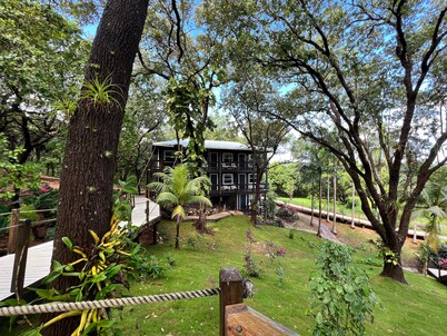 Upachaya
