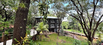 Upachaya