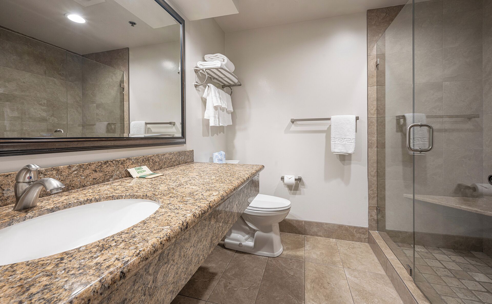 Un baño con lavamanos de encimera de granito, inodoro, cabina de ducha de vidrio y un espejo grande.