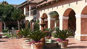 Un patio con suelo de baldosas, palmeras y macetas grandes.