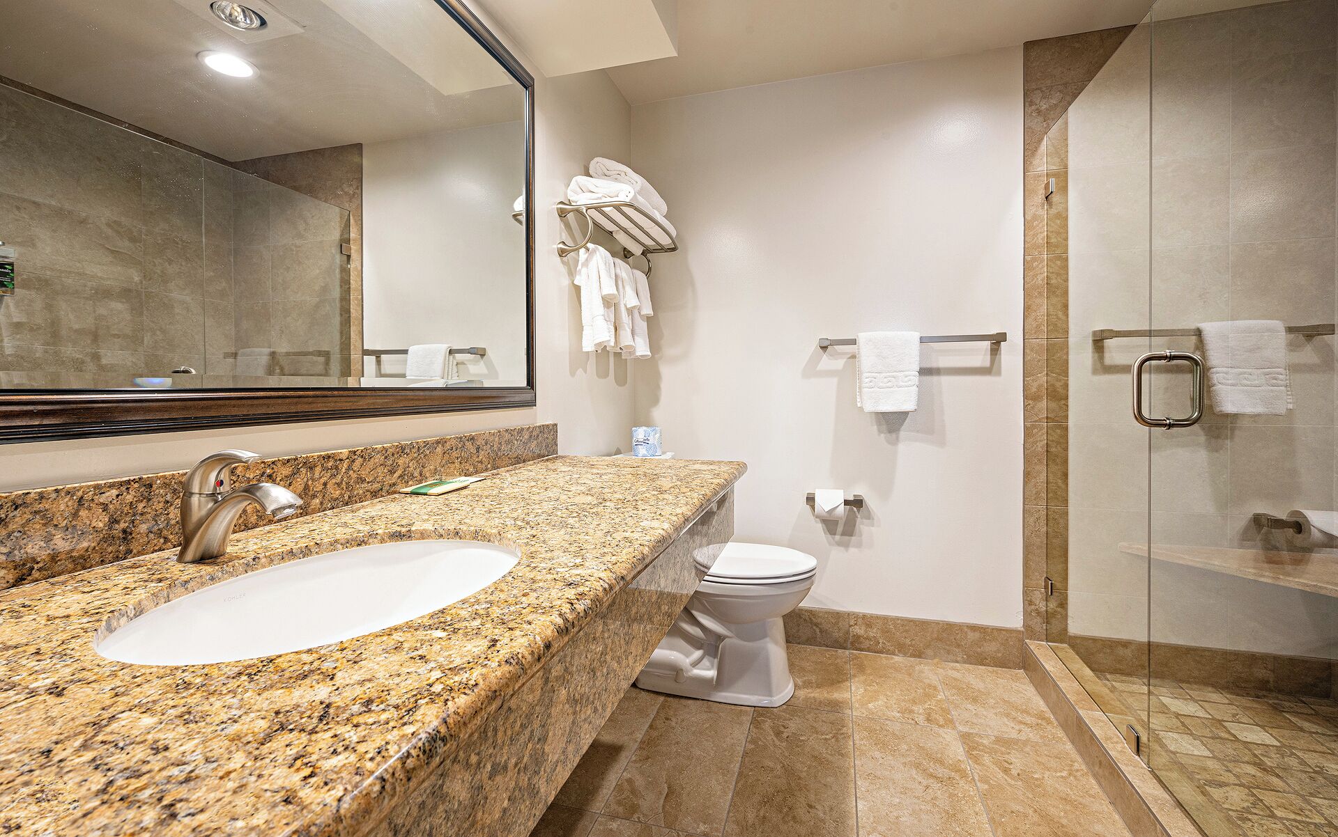 A bathroom with a granite countertop sink, a toilet, a glass shower enclosure, and a mirror with a towel rack.