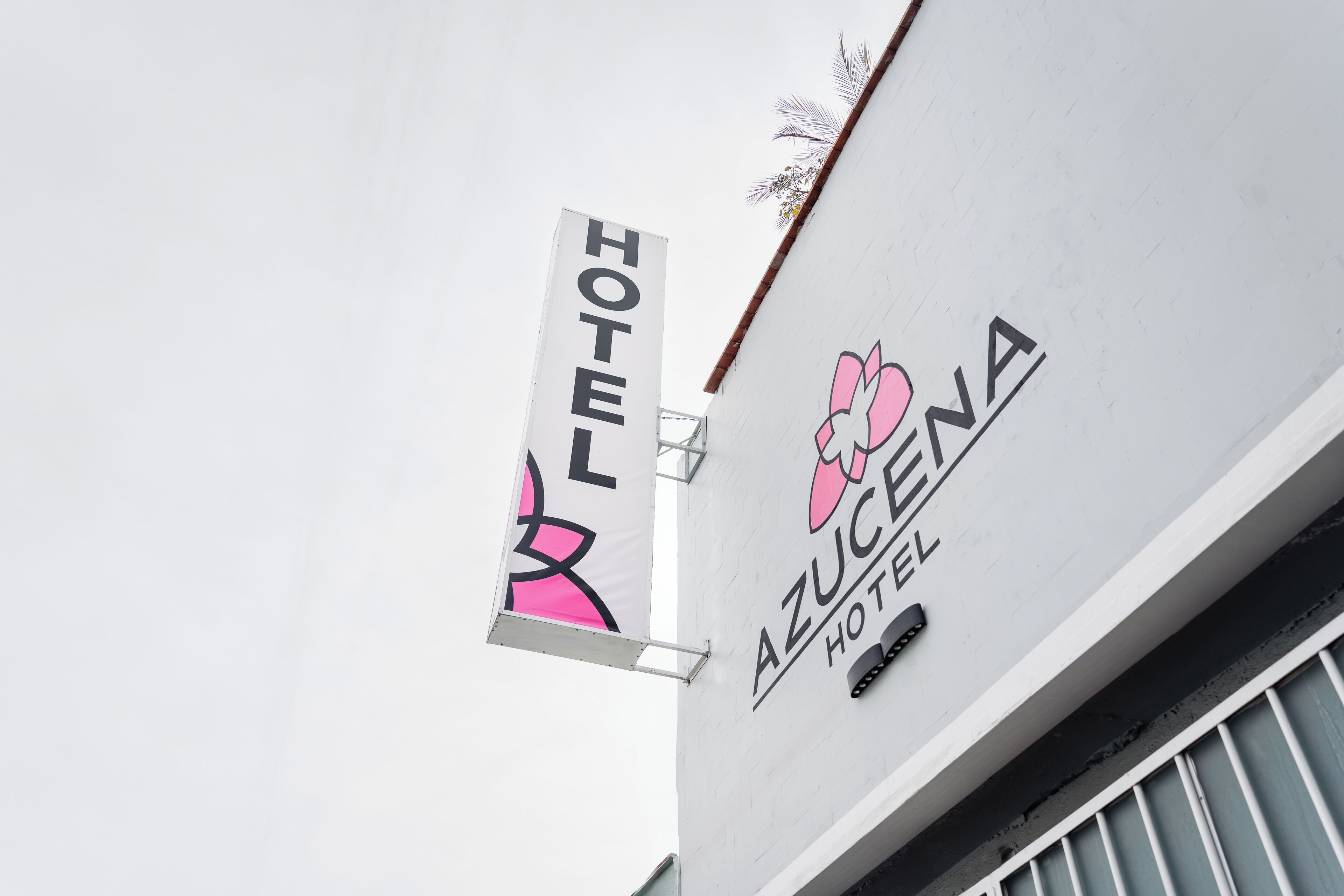 Ein Hotelschild mit dem Namen "AZUCENA HOTEL" und einem Logo mit einer stilisierten Blume.