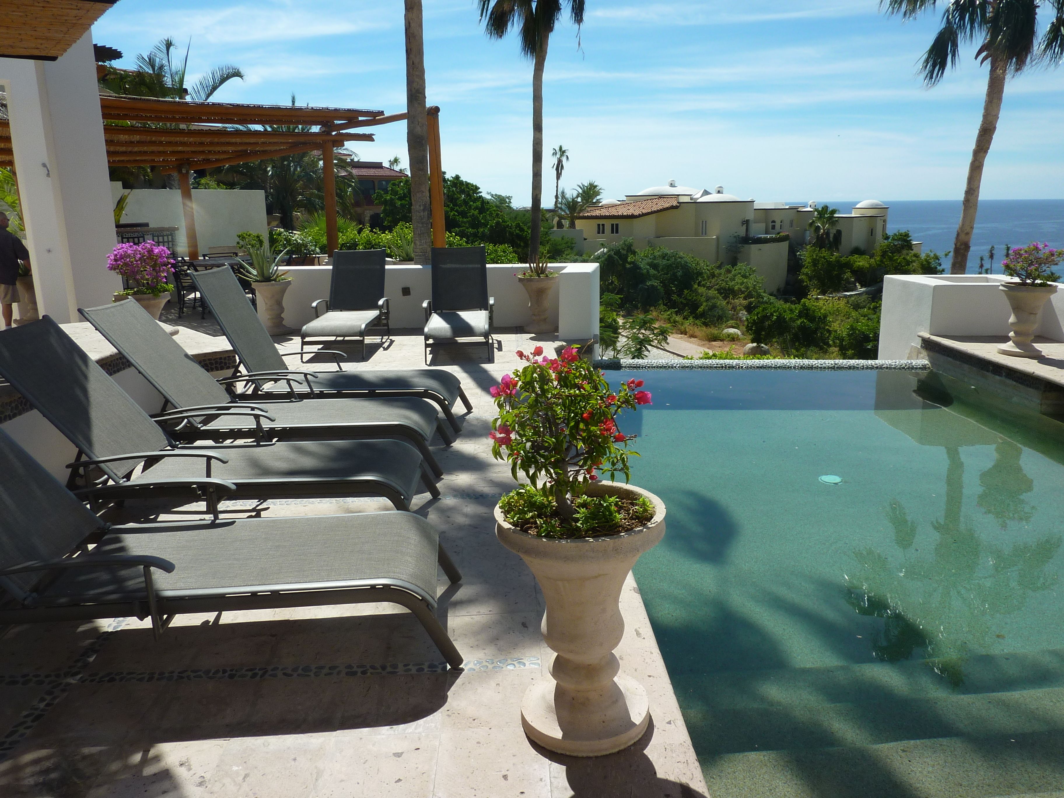 A poolside area with lounge chairs and a potted plant.