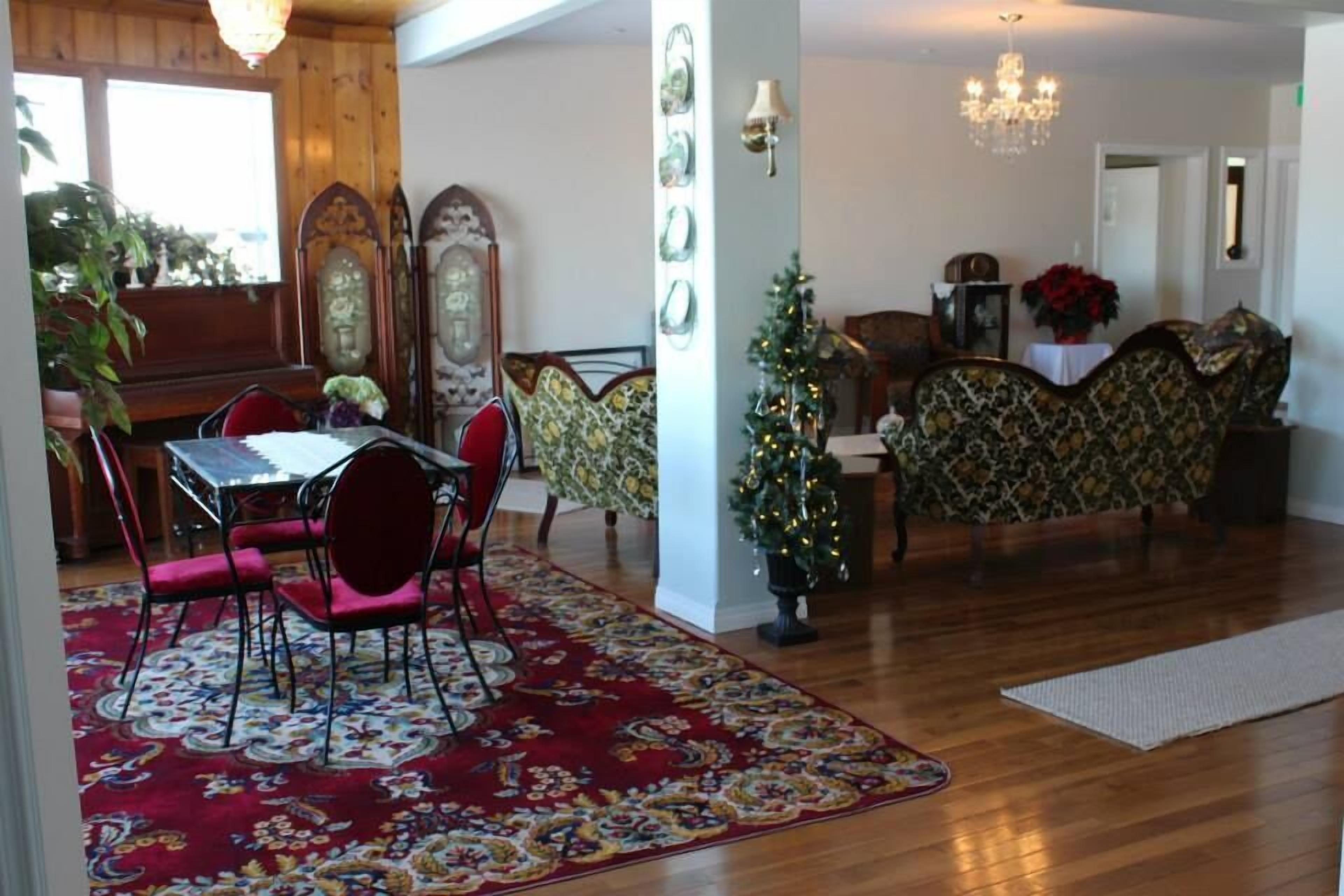 A dining area with a table and chairs, a Christmas tree, and a patterned sofa.