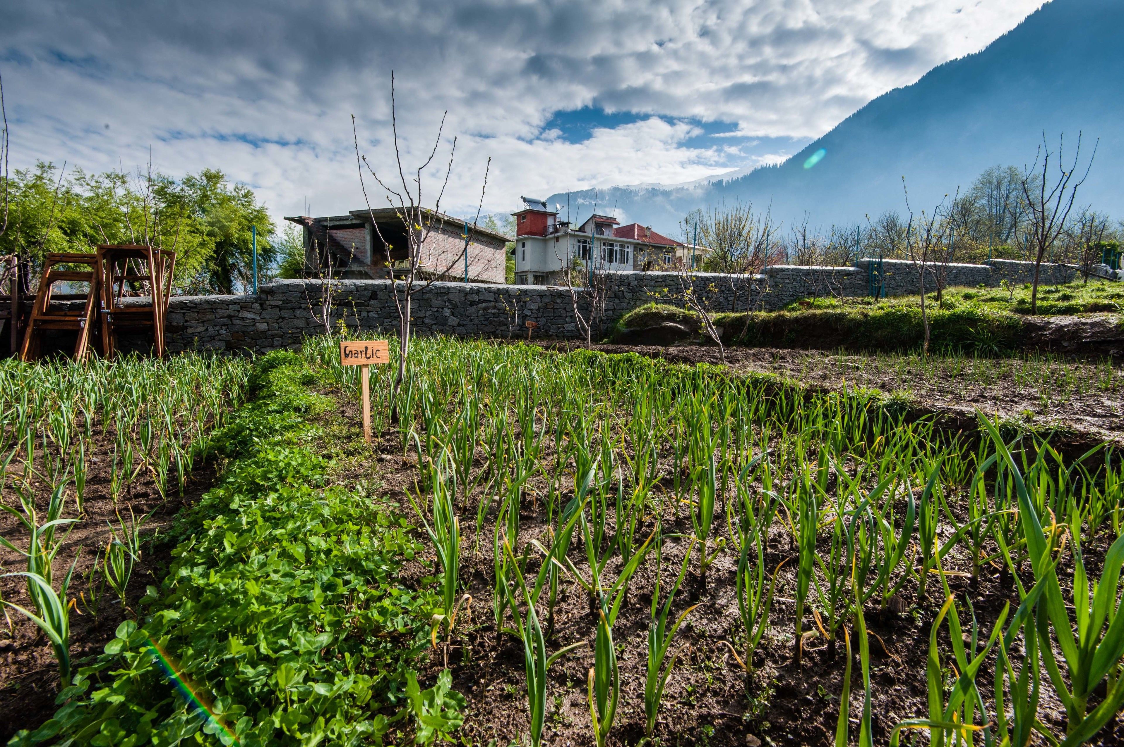 Paisaje rural con un muro de piedra, una casa de techo rojo y un letrero que dice "Garlic".