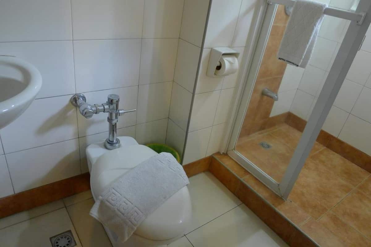 shower, free toiletries, hair dryer, slippers