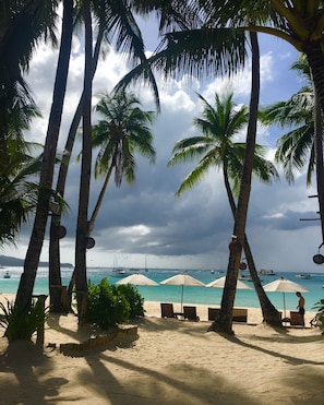 A beach with palm trees, beach chairs, and umbrellas. - The Rose Pike at Boracay (Boracay Island)