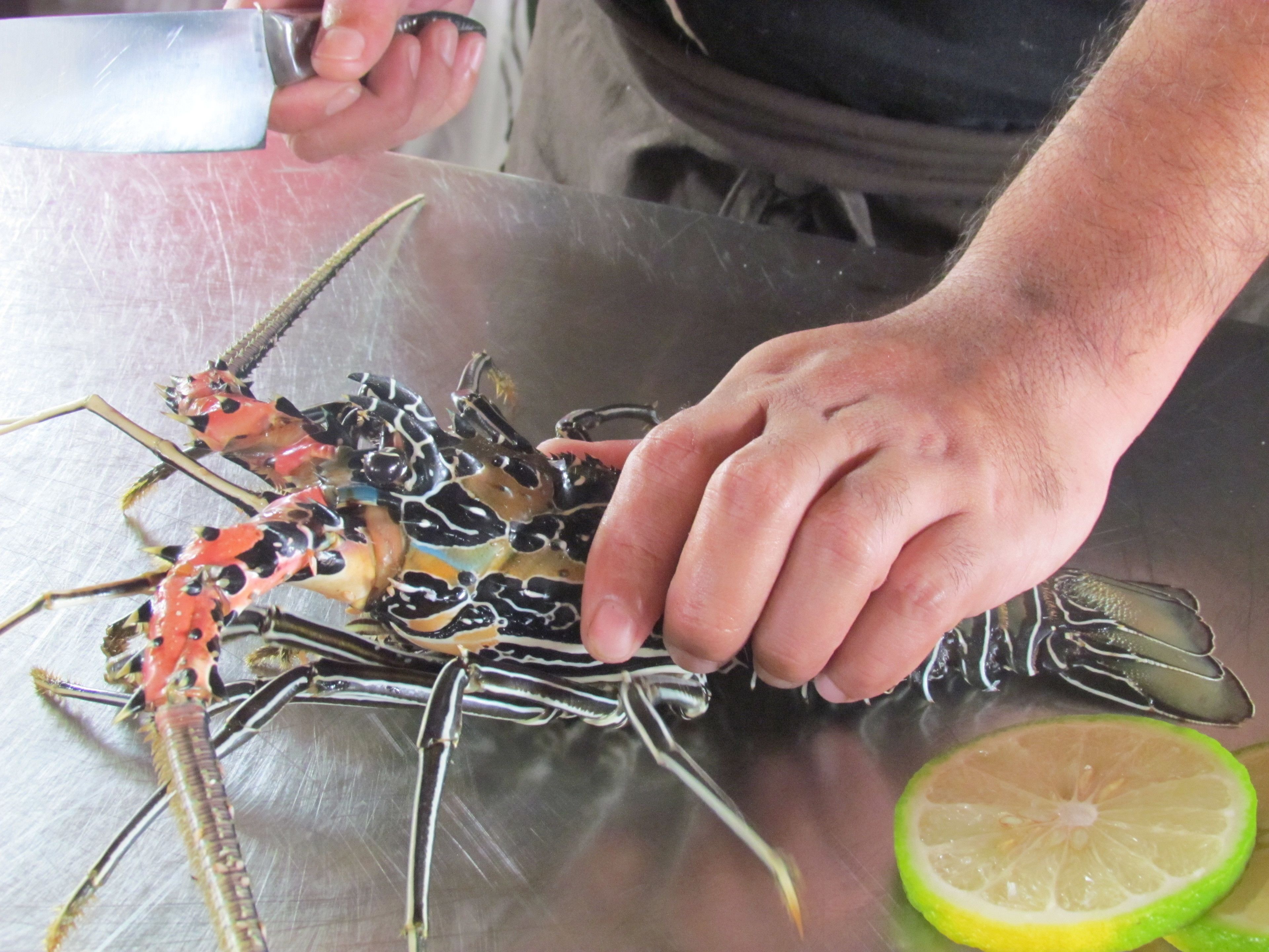 lunch, dinner served; asian cuisine, sea views