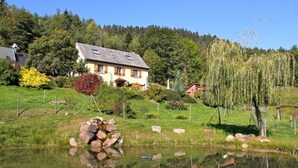 A house with a sloped roof, surrounded by a garden with a pond, trees, and a weeping willow. - Domaine de Basil (Orbey)