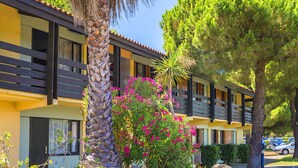 A hotel with a yellow facade, balconies, and lush greenery including a palm tree and flowering plants.