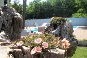 Outdoor pool, pool loungers