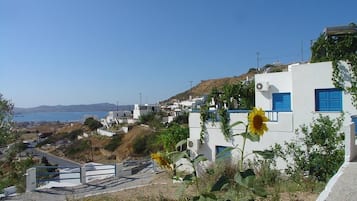 Uitzicht vanuit accommodatie