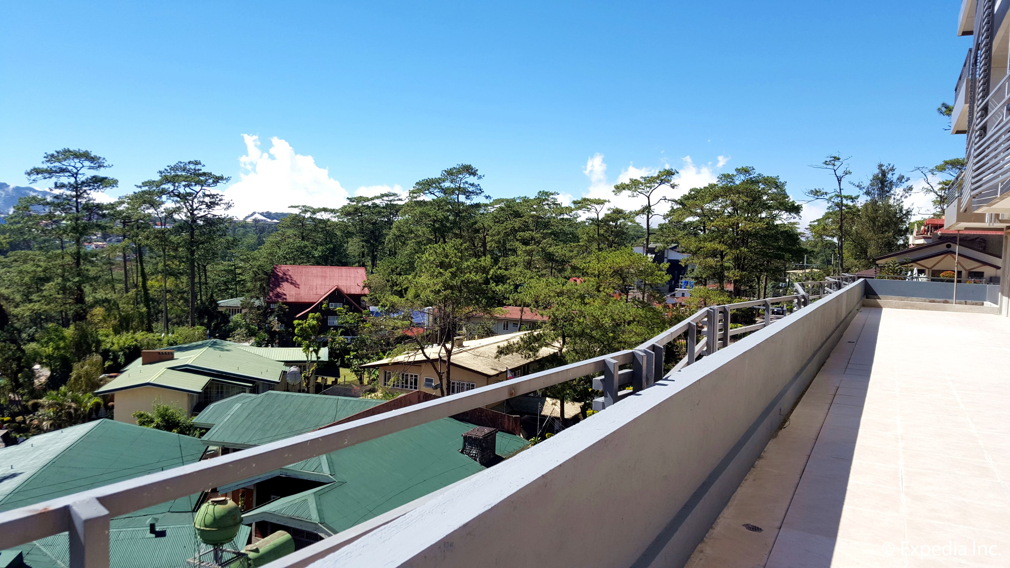 A balcony with a view of a residential area, including houses with green roofs and a forested hillside.