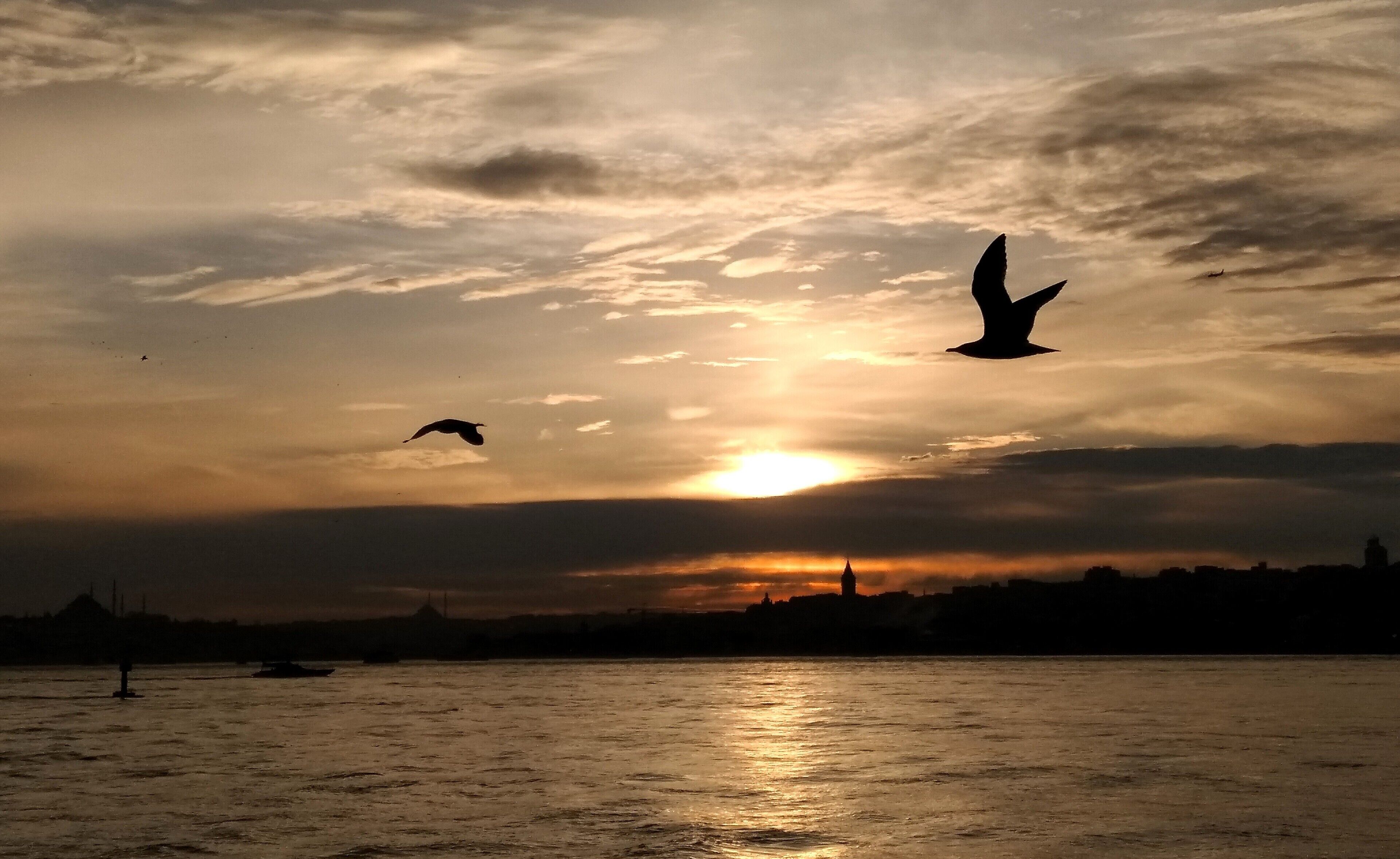 Photo - Just Inn Hotel