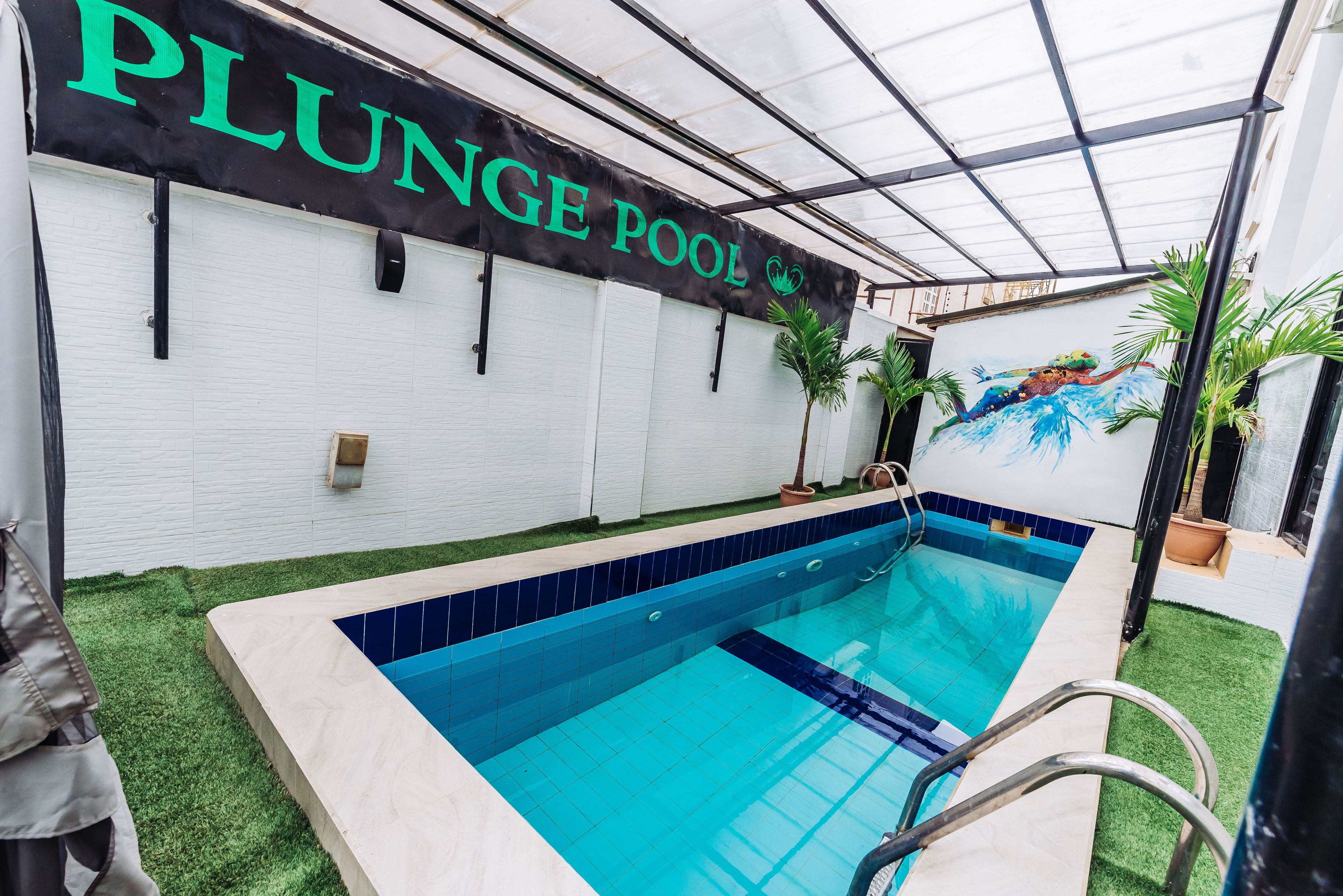 An indoor swimming pool with a 'PLUNGE POOL' sign, surrounded by artificial grass and a mural.