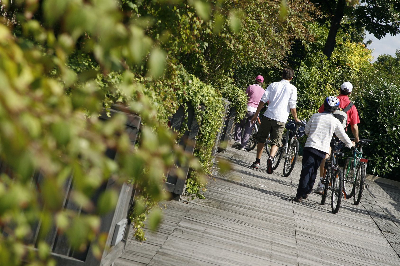 A group of people on bicycles on a wooden pathway surrounded by greenery.