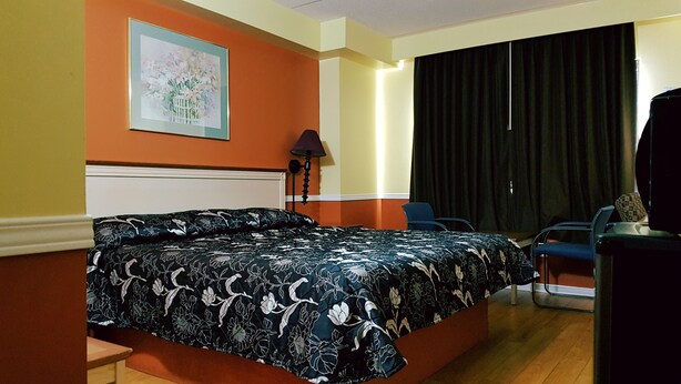Desk, iron/ironing board (on request), WiFi (free) - Budget Inn 2000 (Hamilton)