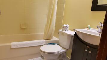 Free toiletries, hair dryer, towels
