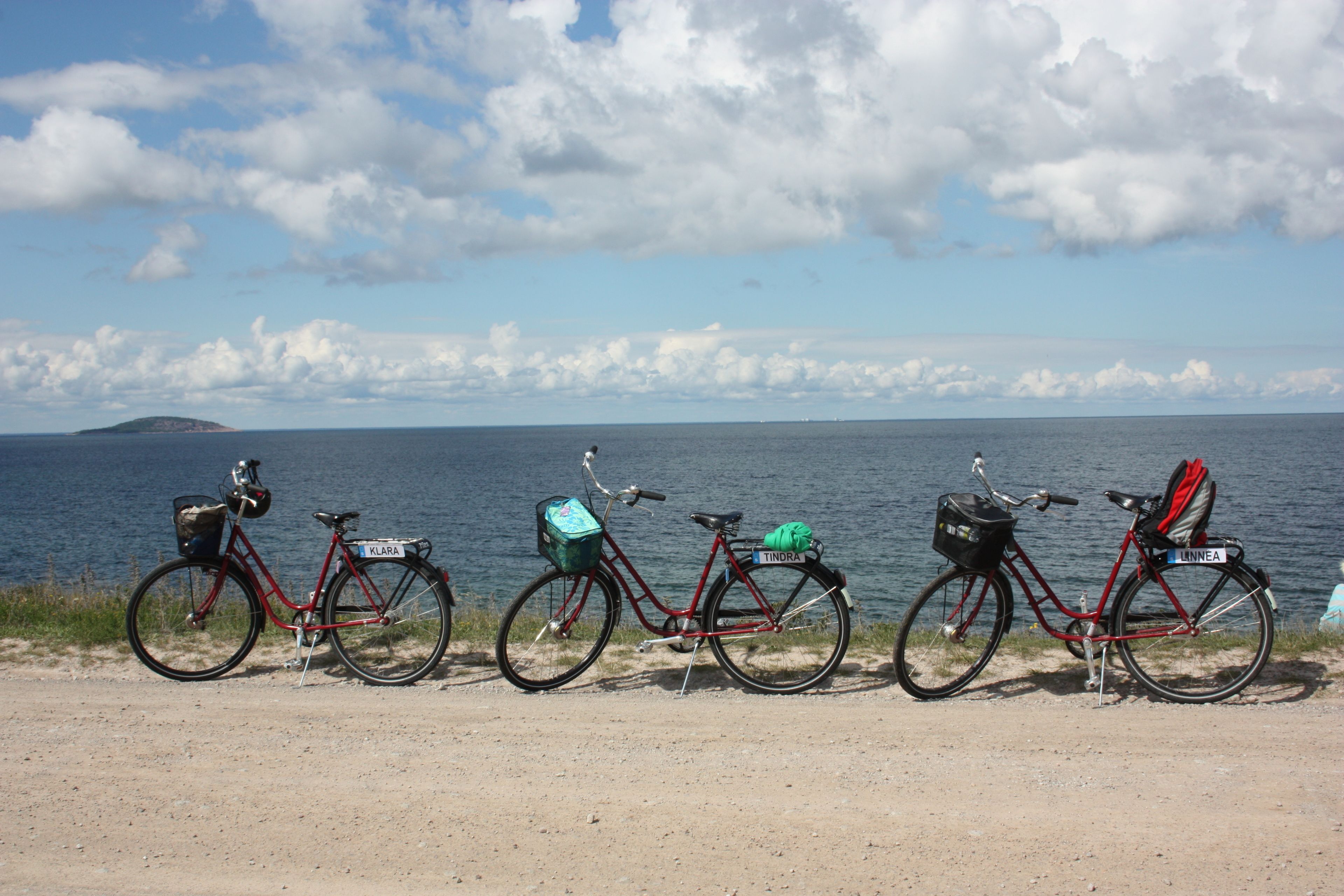 Een rij fietsen geparkeerd aan de kust, met uitzicht op de oceaan en land in de verte.